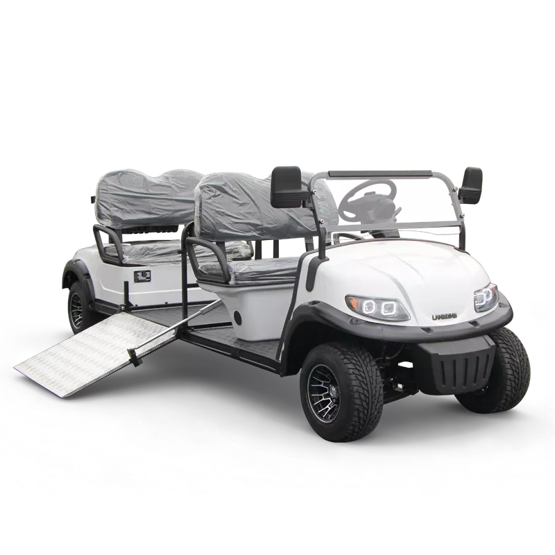 源頭工廠定制電動(dòng)殘疾人觀光車(chē)殘聯(lián)定制機(jī)場(chǎng)無(wú)障礙車(chē)機(jī)場(chǎng)擺渡車(chē)高爾夫球車(chē)無(wú)障礙電瓶車(chē)